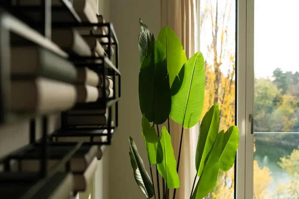 Grüne Pflanzenblätter und ein Bücherregal mit farbigen Buchrücken vor einem Fenster mit Blick auf den Albertussee in Düsseldorf, passend zur Immobilienfotografie von raum media.